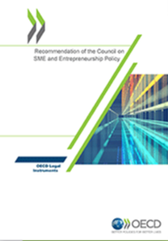Cover photo featuring an image of streaming lines in orange, yellow and blue as well as two diagonal green lines and the OECD logo. The title reads Recommendation on the Council on SME and Entrepreneurship Policy. 